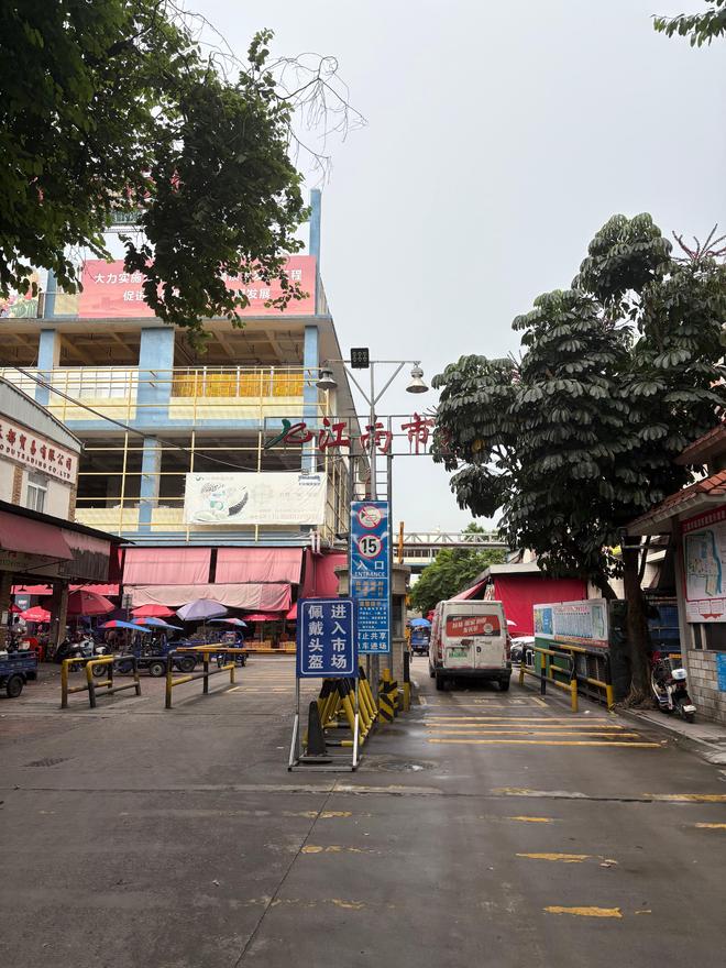 天顺娱乐官方:大跳水!300元一斤跌至9.9元3斤